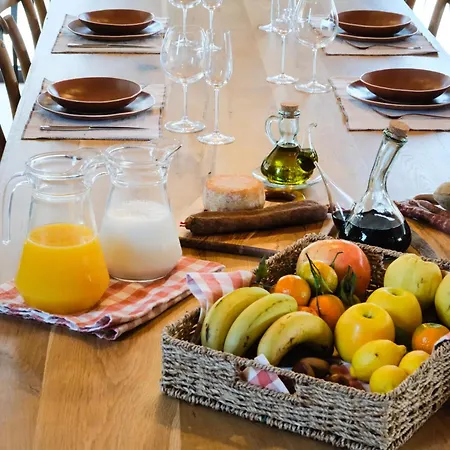 Masia Mateu De L'agusti Chalet Llimiana